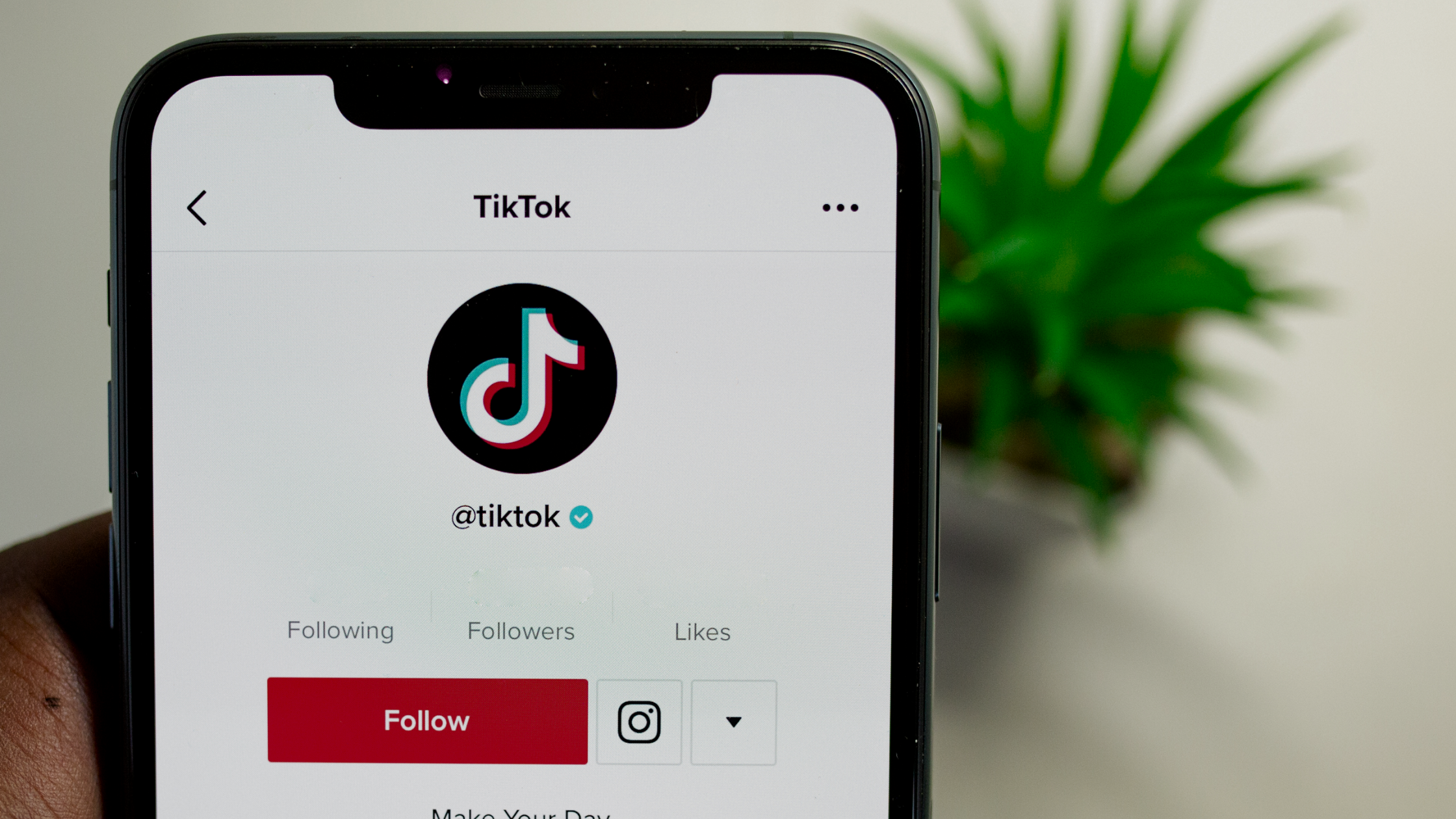 TikTok Adds New Feature to Boost Immersive Brand Campaigns