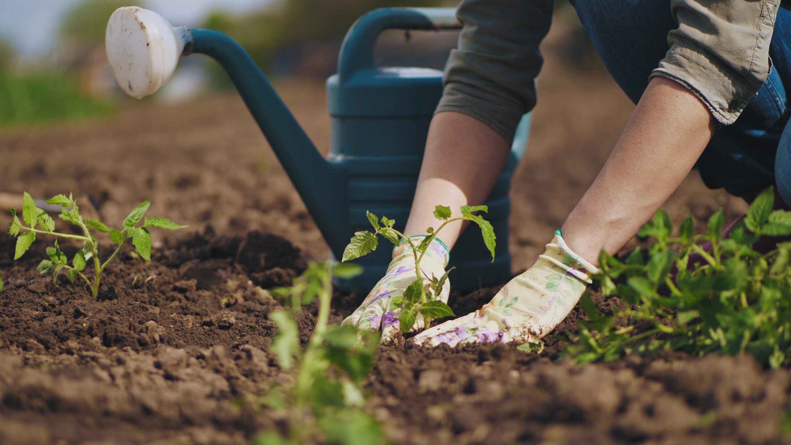 Walk the Talk: 3 Earth Day Activations That Got It Right 